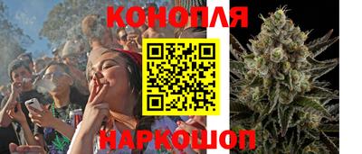 прущие крисы Камышлов
