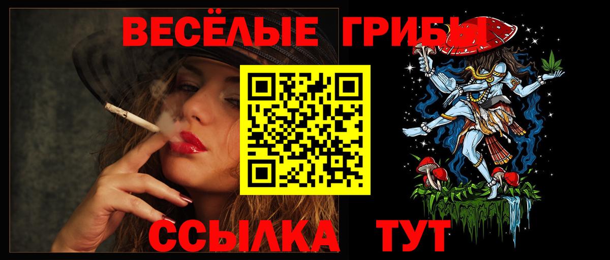 Ликино-Дулёво  Галлюциногенные грибы Psilocybine cubensis  Вход с VPN 